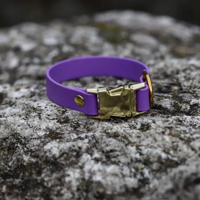 Obroża na klamrę BioThane Lilac Purple Co Collar