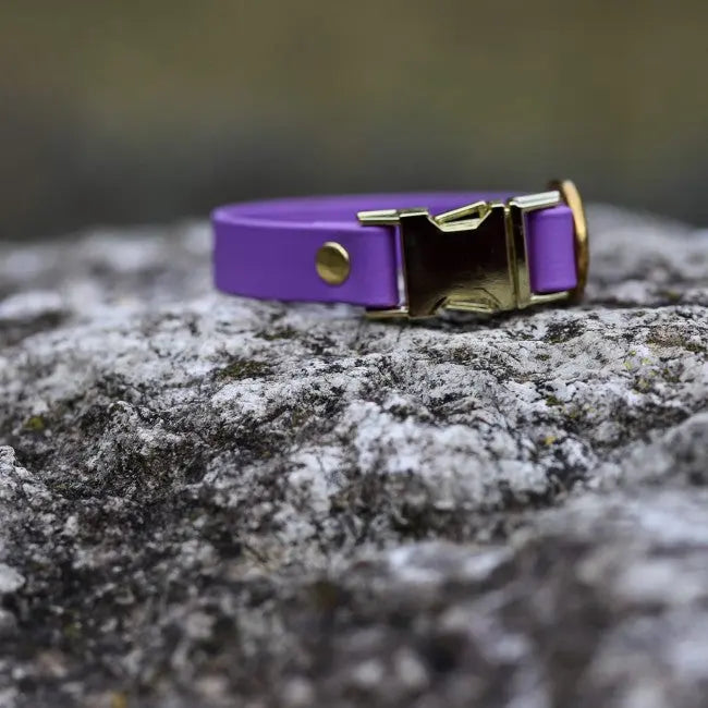 Obroża na klamrę BioThane Lilac Purple Co Collar