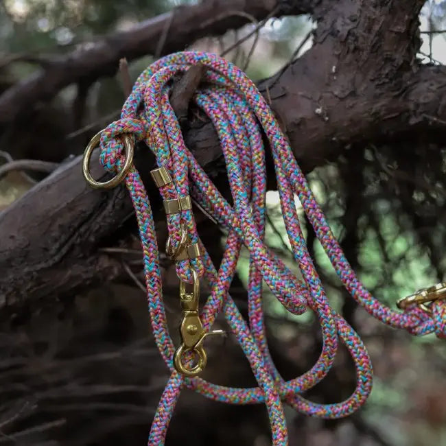 Smycz miejska linowa Rainbow Power Co collar