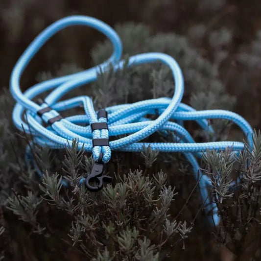 Smycz miejska linowa Ice Blue Co collar