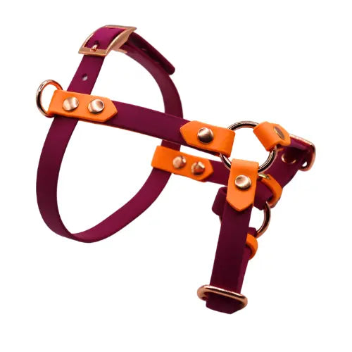 Szelki z regulacją BioThane Magenta Pink Co Collar