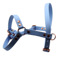 Załaduj obraz do przeglądarki galerii, Szelki z regulacją BioThane Ice Blue Co Collar
