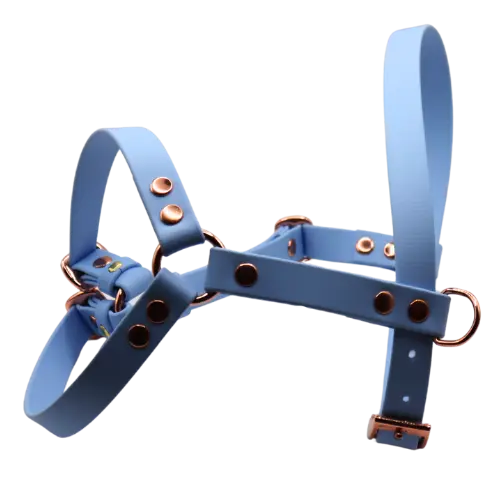 Szelki z regulacją BioThane Ice Blue Co Collar