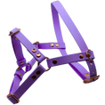 Załaduj obraz do przeglądarki galerii, Szelki z regulacją BioThane Lilac Purple Co Collar
