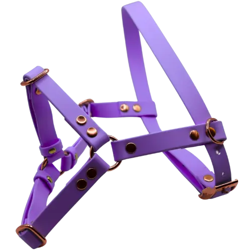 Szelki z regulacją BioThane Lilac Purple Co Collar