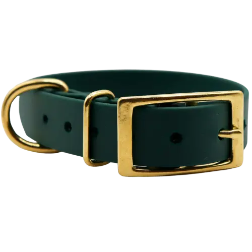 Obroża na sprzączkę BioThane Forest Green Co Collar