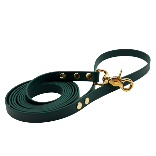 Smycz BioThane Forest Green Co Collar