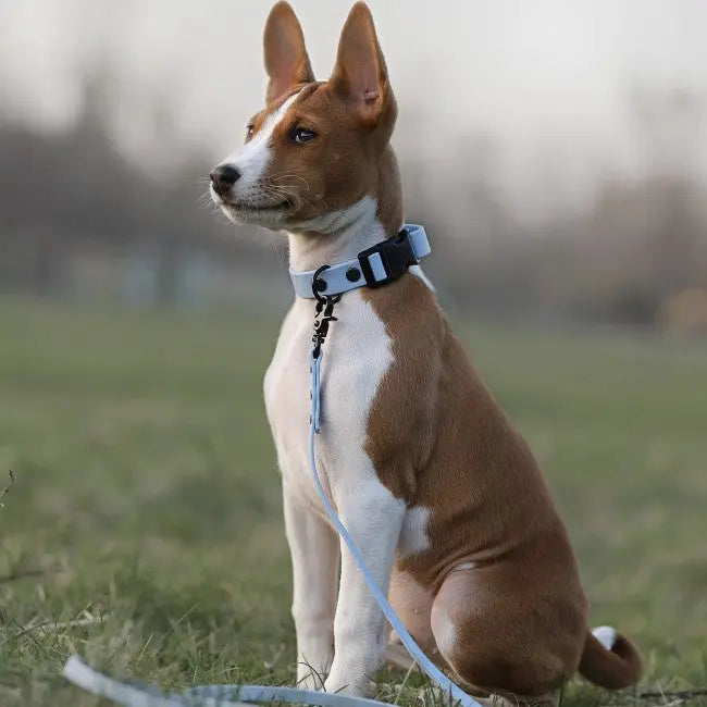 Obroża na klamrę BioThane Ice Blue Co Collar