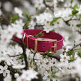 Załaduj obraz do przeglądarki galerii, Obroża na sprzączkę BioThane Magenta Pink Co Collar
