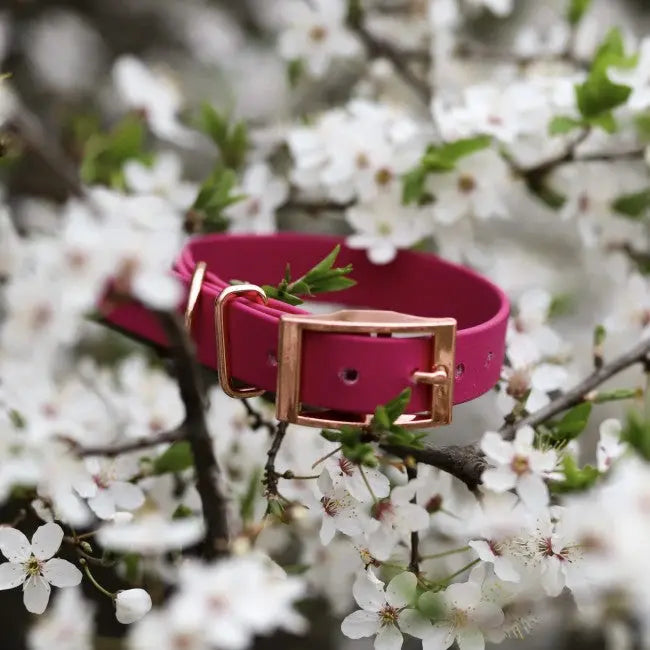 Obroża na sprzączkę BioThane Magenta Pink Co Collar