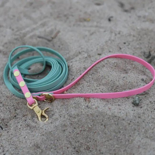 Smycz BioThane Sage green Co Collar