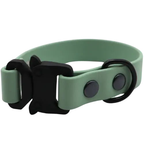 Obroża na klamrę BioThane Sage Green Co Collar
