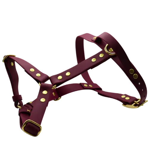 Szelki z regulacją BioThane Wine Red Co Collar