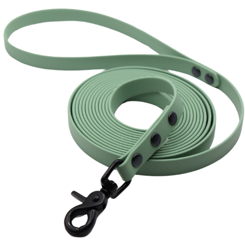 Smycz BioThane Sage green Co Collar