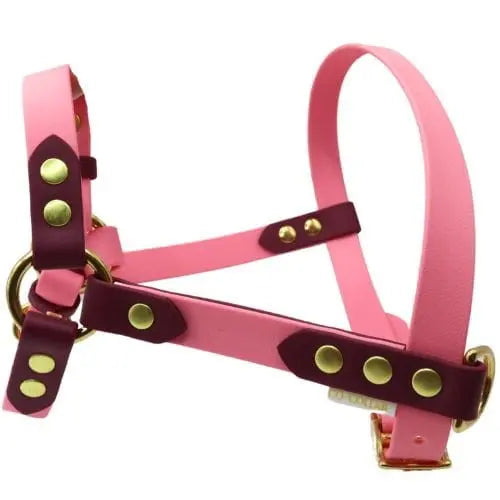 Szelki z regulacją BioThane Flamingo Pink Co Collar