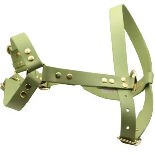 Szelki z regulacją BioThane Pistachio Green Co Collar