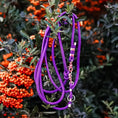 Załaduj obraz do przeglądarki galerii, Smycz przepinana linowa True Purple Co collar
