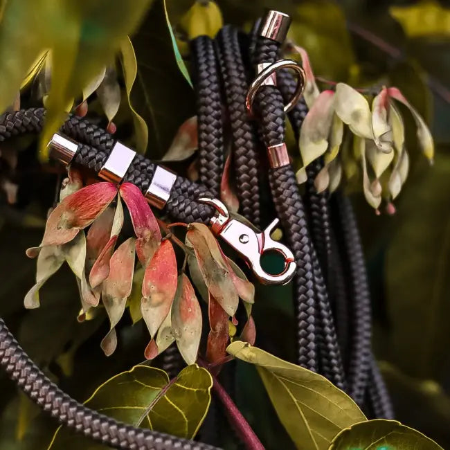 Smycz miejska linowa Chocolate Brown Co collar