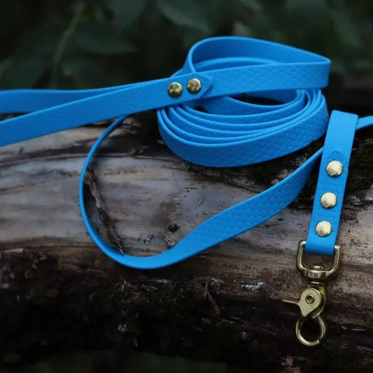 Smycz HEXA Marine Blue Co Collar