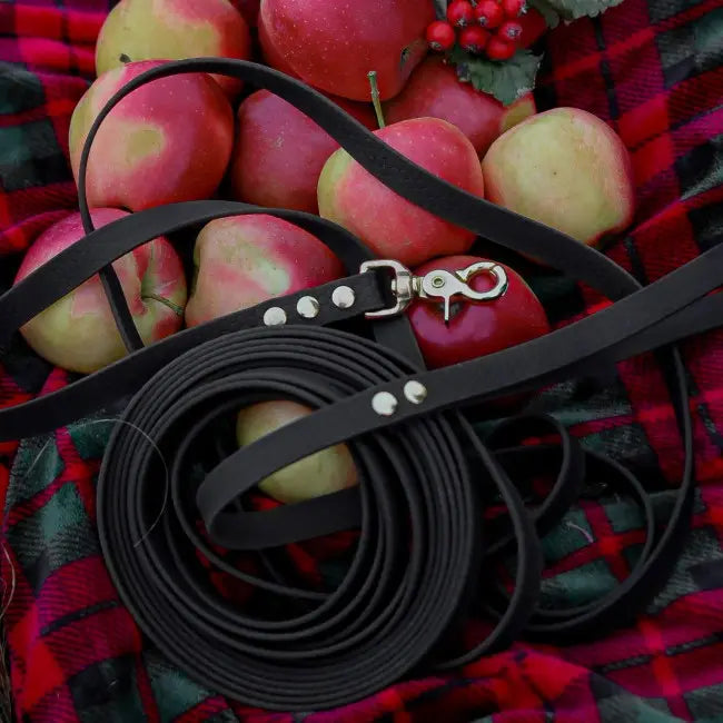 Smycz HEXA Raven Black Co Collar