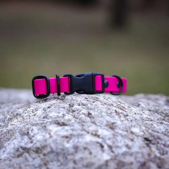 Obroża na klamrę BioThane Magenta Pink Co Collar