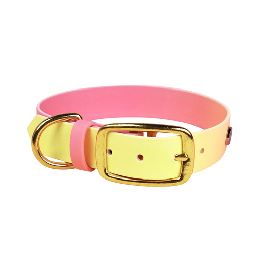 Obroża na sprzączkę dla psa, Pink Malibu BURA