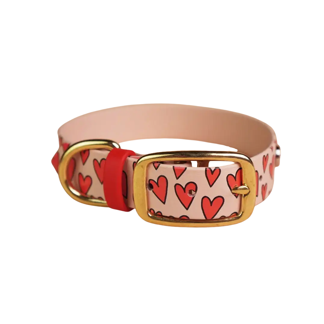 Obroża na sprzączkę dla psa, Serca / pudrowy BURA