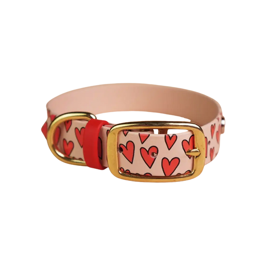 Obroża na sprzączkę dla psa, Serca / pudrowy BURA