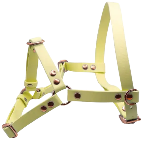 Szelki z regulacją BioThane Lemon Yellow Co Collar