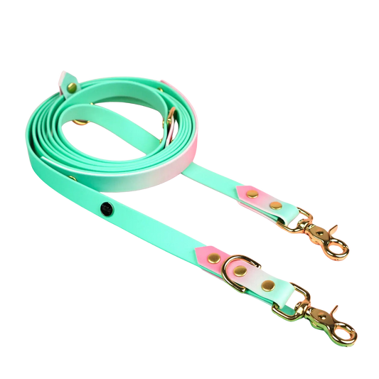 Smycz przepinana multifunkcyjna z Biothane dla psa, Strawberry Matcha BURA