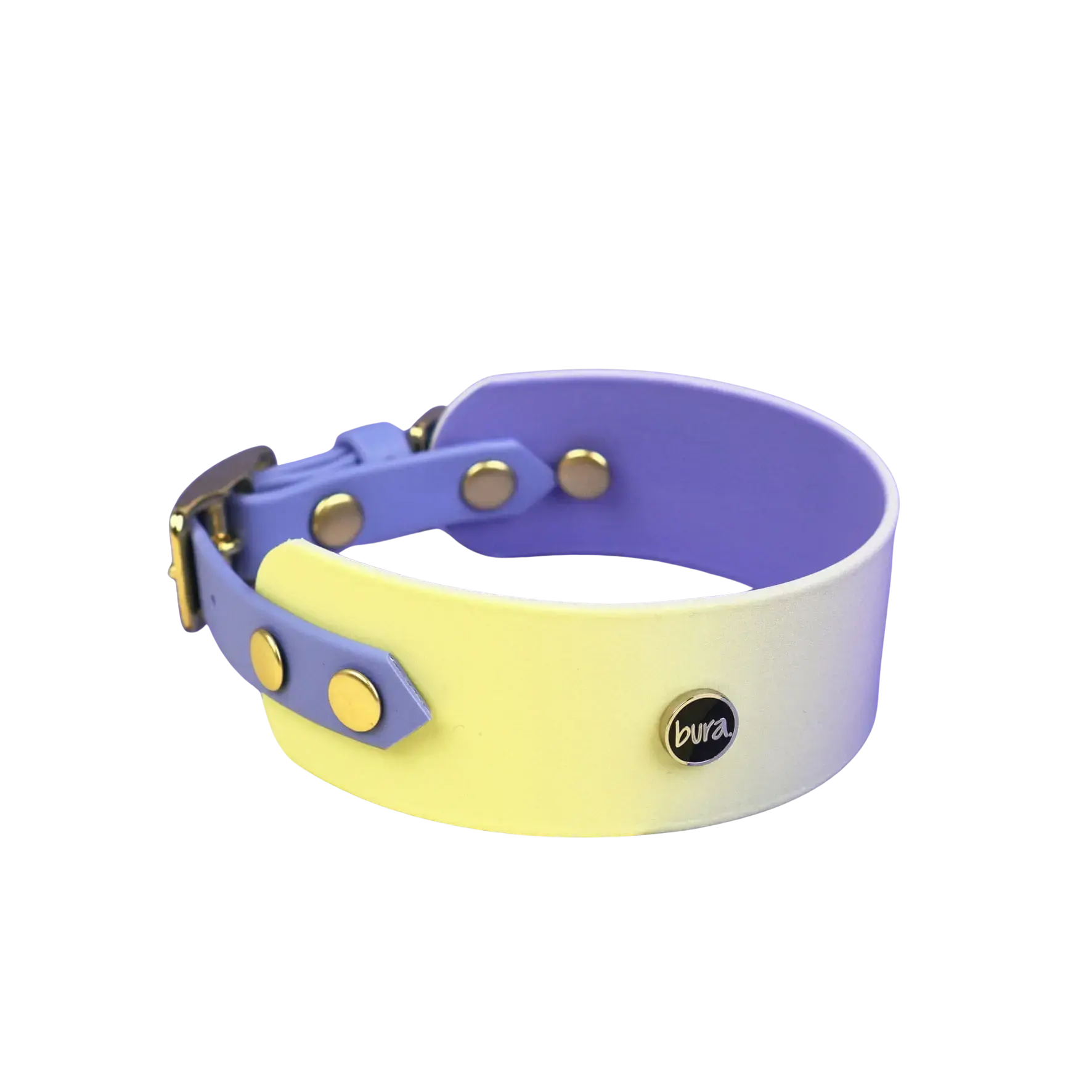 Obroża dla Charta na sprzączkę, Lavender Haze BURA