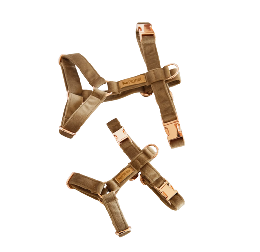 Szelki typu guard brąz Psotnik