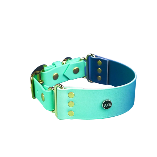Szeroka obroża na sprzączkę turkusowo niebieska.