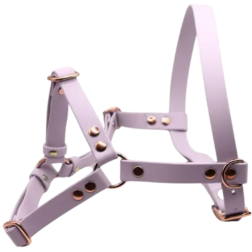 Szelki z regulacją BioThane Pastel Purple Co Collar