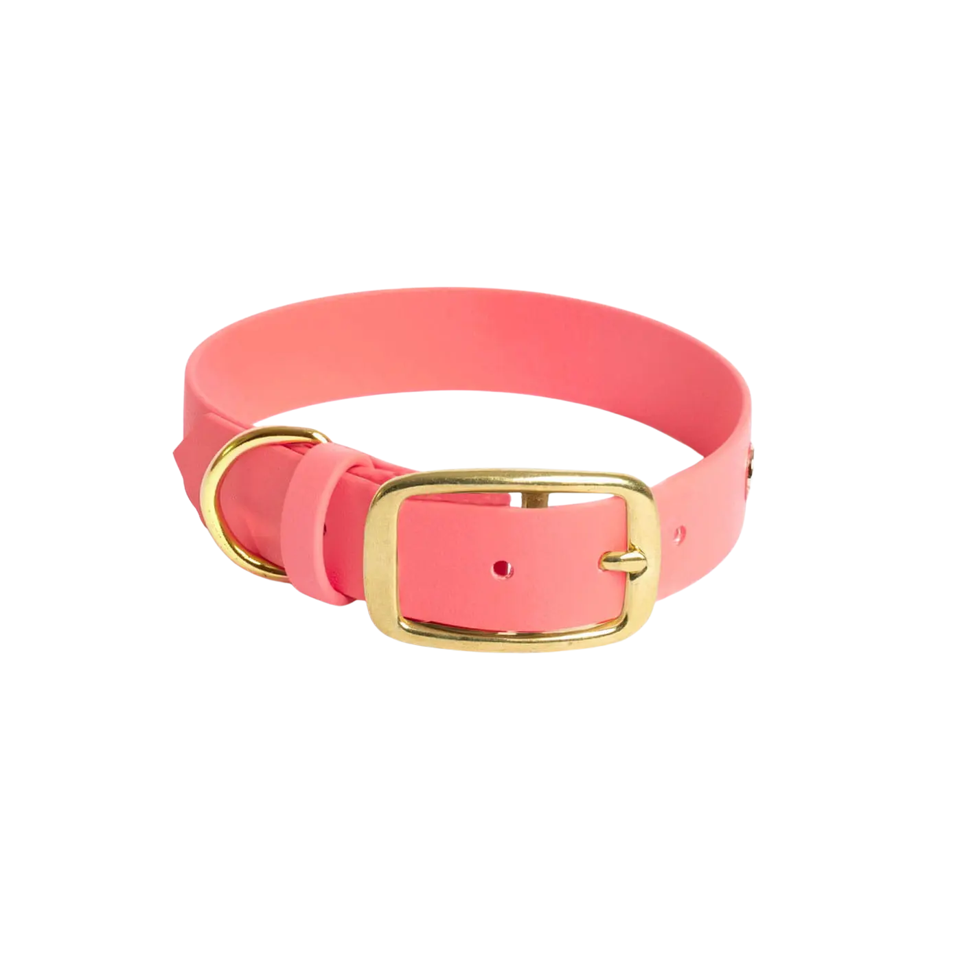 Obroża na sprzączkę dla psa, koral / Psiutti frutti BURA