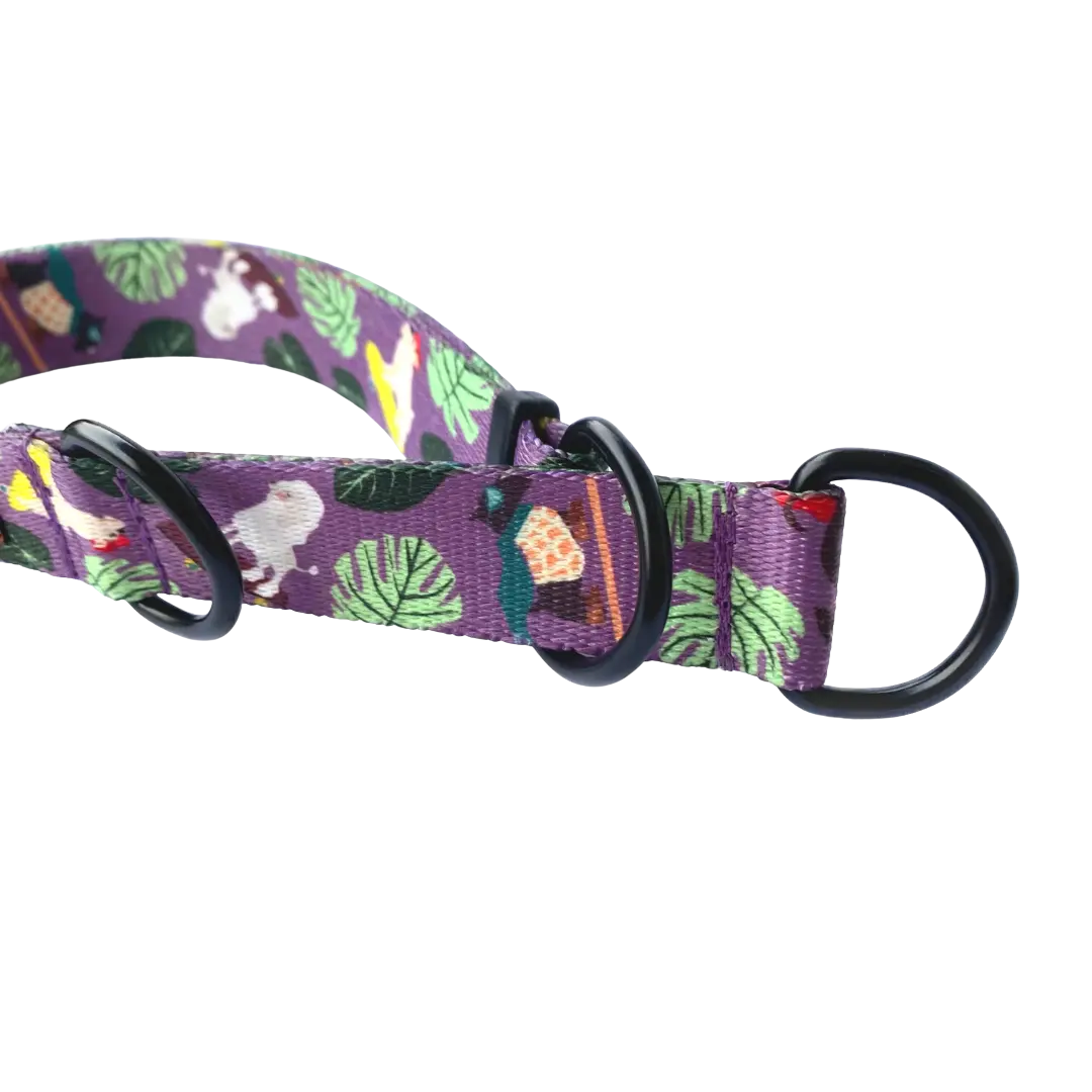 Obroża półzaciskowa Pieski na deski psistań