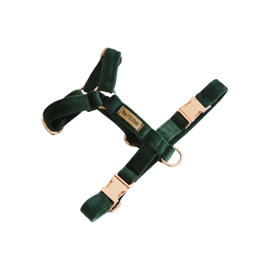 Szelki typu guard ciemnozielone Psotnik