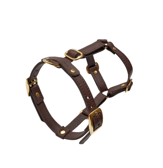 Szelki "Classy" kolor brązowy