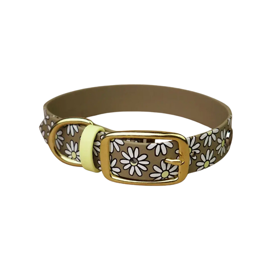 Obroża na sprzączkę dla psa, Stokrotki / khaki BURA