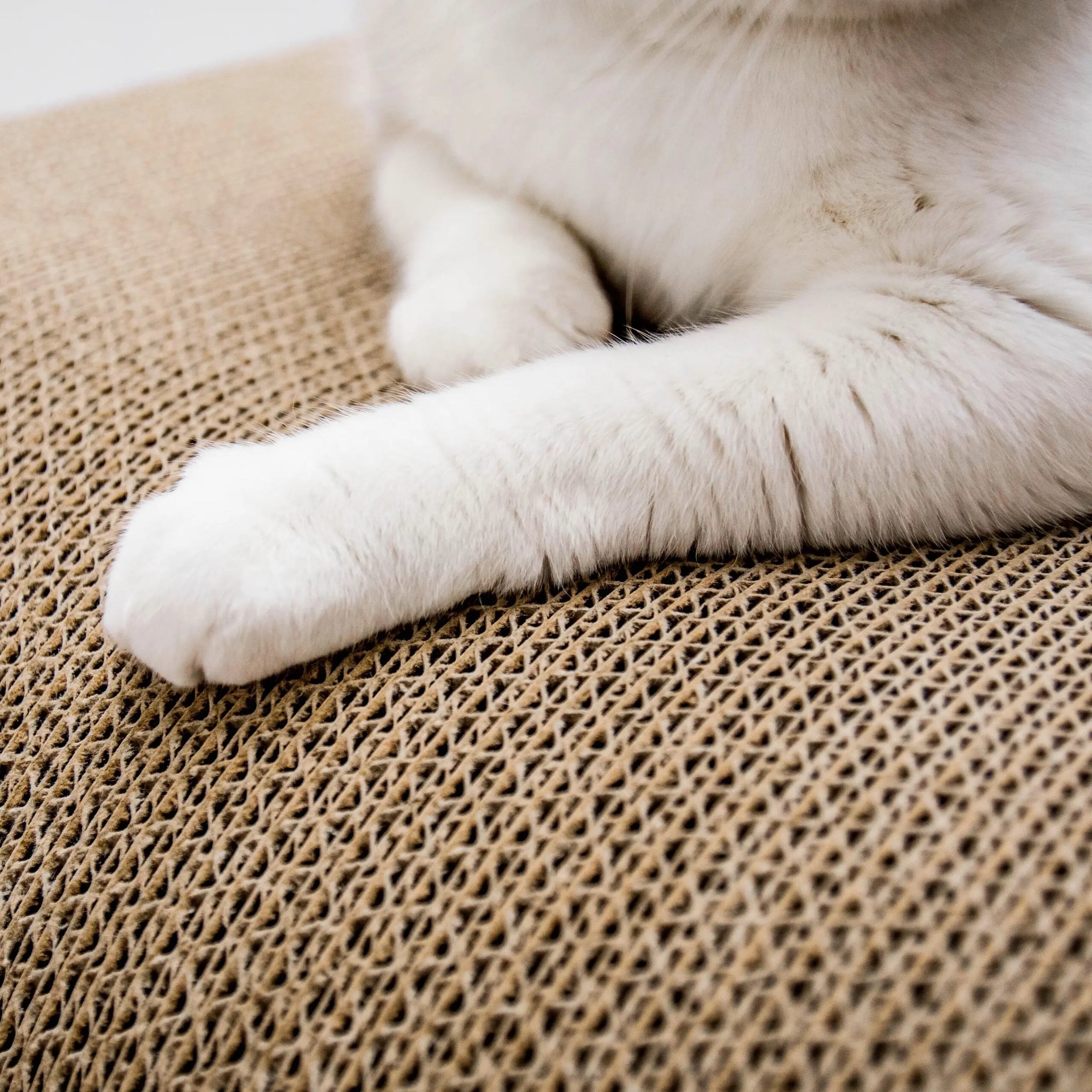 Drapak dla kota E.T. House of Cats