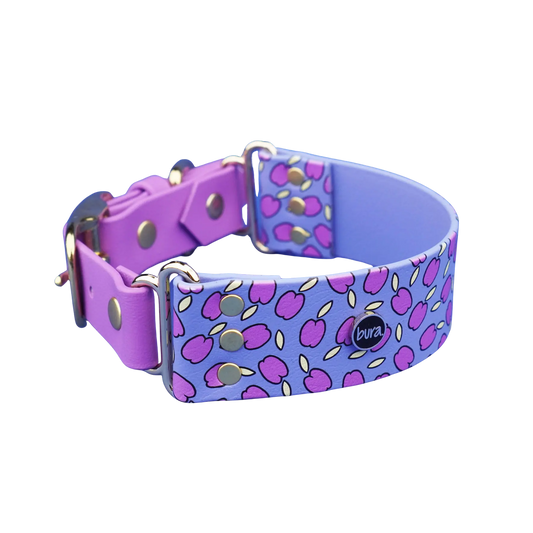 Szeroka obroża na sprzączkę, Śliweczki / niebiesko-lawendowy BURA