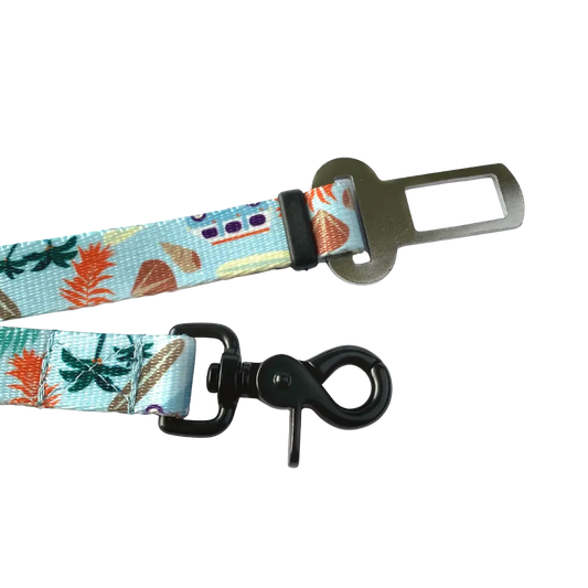 Pas bezpieczeństwa Psialifornia psistań