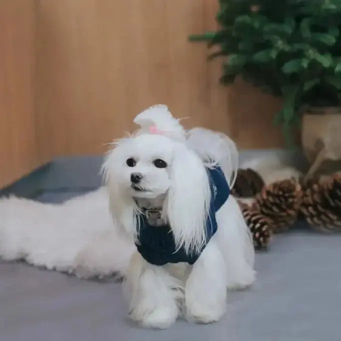 Sweterek dla psa SNOWFLAKE granat Bowl & Bone