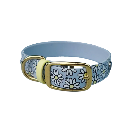 Obroża na sprzączkę dla psa, Stokrotki / pastelowy-niebieski BURA