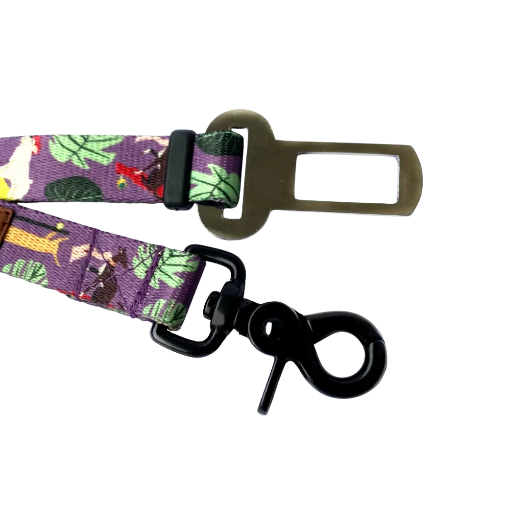 Pas bezpieczeństwa Pieski na deski! psistań