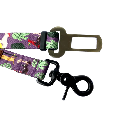 Pas bezpieczeństwa Pieski na deski! psistań