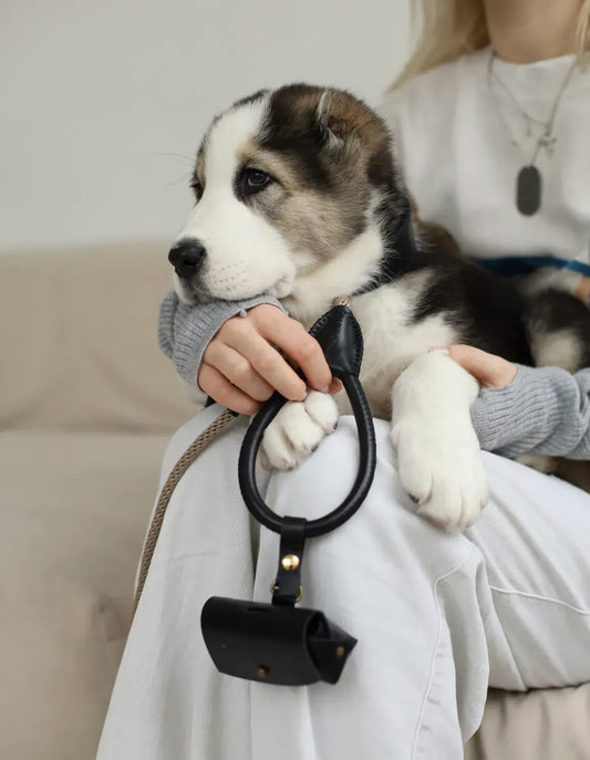 Etui na woreczki "Classy" w kolorze czarnym