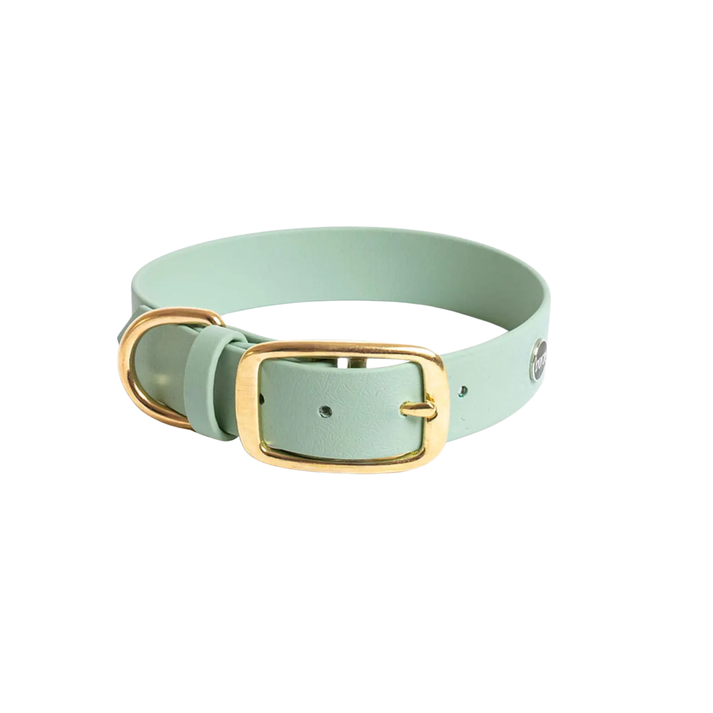 Obroża na sprzączkę dla psa, szałwiowy / szAUUUwia BURA