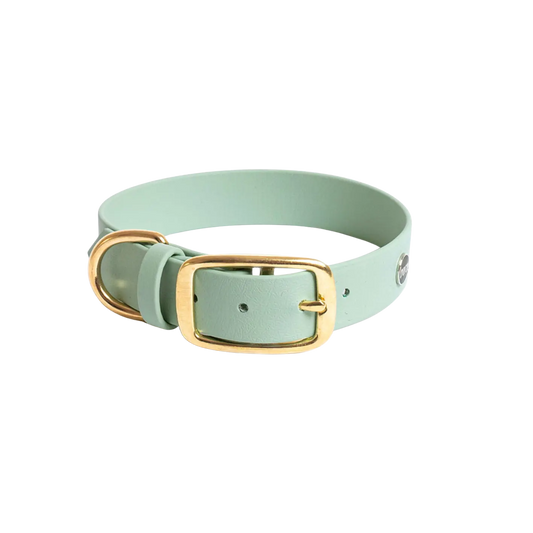 Obroża na sprzączkę dla psa, szałwiowy / szAUUUwia BURA