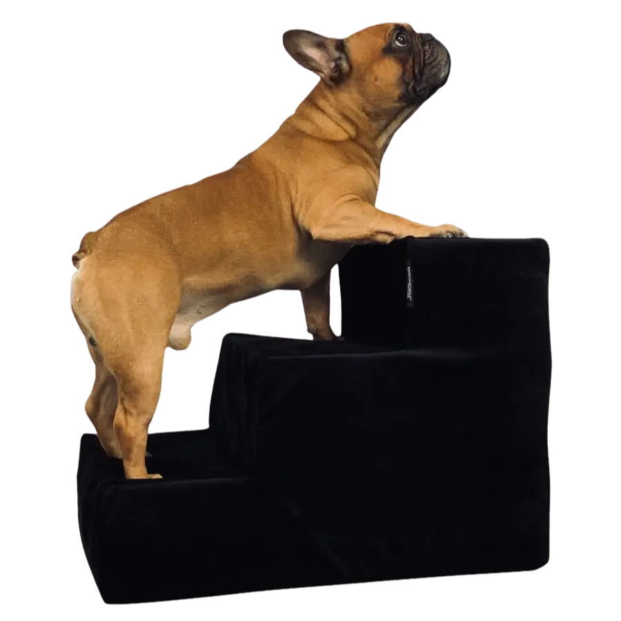 Schodki dla psa - kolor do wyboru DOGIDIGI